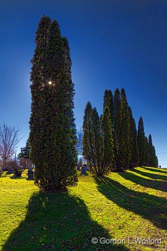Tree Shadows_01357.jpg - Photographed at Westport, Ontario, Canada.